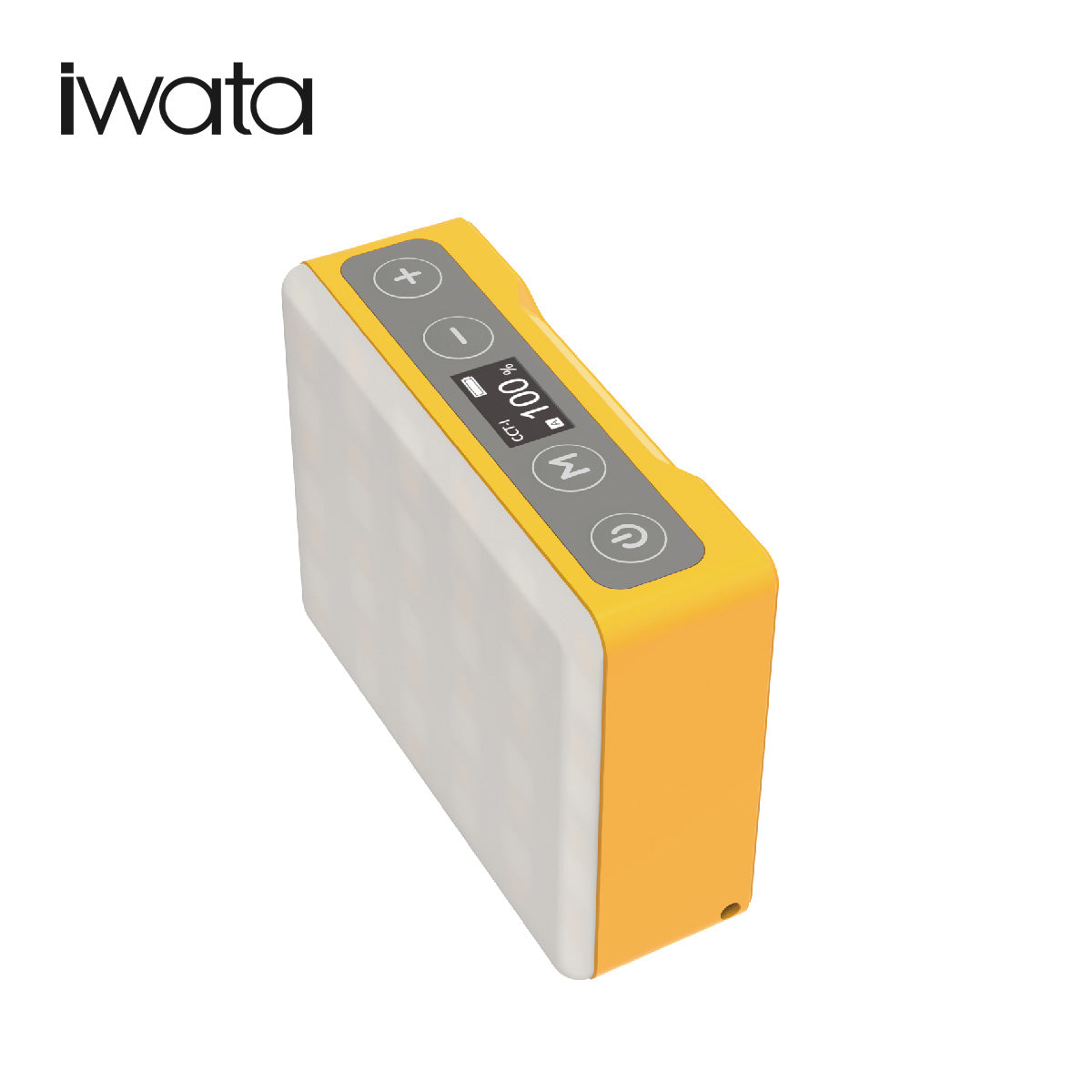Iwata GM-1Pro 輕巧色彩LED補光燈 (品牌直送)