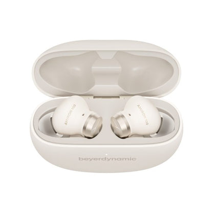 beyerdynamic Amiron 100 降噪耳機 (品牌直送)
