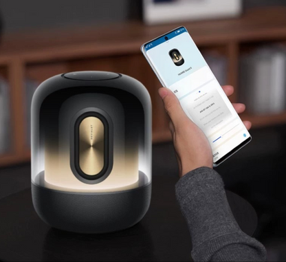 HUAWEI Sound X FLMG-10 鎏金劇院版藍牙音箱 (品牌直送)